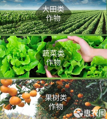 海藻肥“安豐樂-海藻素” 強力促生根壯苗、防病害與合成技術研發(fā)