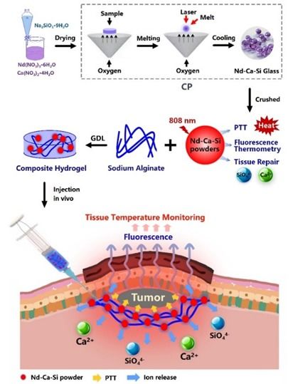 融合創(chuàng)新 面向腫瘤治療與組織再生一體化的生物活性玻璃合成技術(shù)研發(fā)