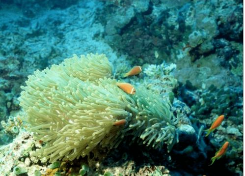 觀方好物 華山醫(yī)院研制的身體乳，何以成為值得“囤一輩子”的護(hù)膚好物？